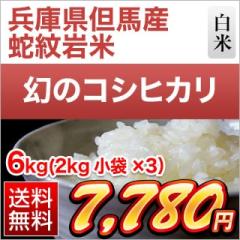 ���Ɍ��A�n�Y �R�V�q�J���y�֖��āz ���� �q3�N�A����A�]���r 6kg�i2kg�~3�܁j �y���������z�y�đ܂͒��f�[�U��z�y�����o�ׁz���� 