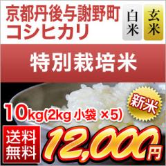 V sO^Ӗ쒬Y RVqJ yāEāz 10kgi2kg~5܁jyzyʍ͔|āzyf[Uzyoׂ͔Ă̂