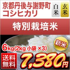 V sO^Ӗ쒬Y RVqJ yāEāz6kgi2kg~3܁jyzyʍ͔|āzyf[Uzyoׂ͔Ă̂݁z