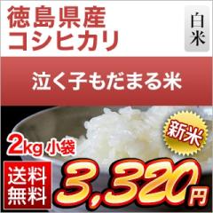 V Y q܂āiRVqJj  2kg yzyđ܂͒f[UzyoׁzyYҎwāz ߘa7N