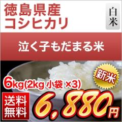 V Y q܂āiRVqJj  6kgi2kg~3܁jyzyđ܂͒f[UzyoׁzyYҎwāz