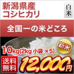 V VY RVqJ  10kgi2kg~5܁jyzyoׁzyđ܂͒f[Uz ߘa7NY 2025NY