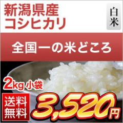 �V�����Y �R�V�q�J�� ���� 2kg �y���������z�y�����o�ׁz�y�đ܂͒��f�[�U��z���� �ߘa7�N�Y 2025�N�Y