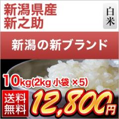 �V�����Y �V�V�� ���� 10kg�i2kg�~5�܁j�y���������z�y�����o�ׁz�y�đ܂͒��f�[�U��z���� �ߘa7�N�Y 2025�N�Y