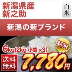 V VY VV  6kgi2kg~3܁jyzyoׁzyđ܂͒f[Uz ߘa7NY 2025NY