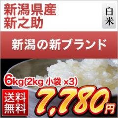 �V�����Y �V�V�� ���� 6kg�i2kg�~3�܁j�y���������z�y�����o�ׁz�y�đ܂͒��f�[�U��z���� �ߘa7�N�Y 2025�N�Y