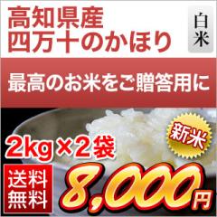 V p mY l\̂ق  4kgi2kg~2܁jq9NAA]ryʍ͔|āzyz f[Uđ܂ł͂܂