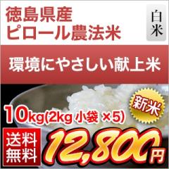 V s[_@  10kgi2kg~5܁jiāj yzyđ܂͒f[UzYRVqJ  ߘa7NY 2025NY