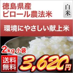 �s���[���_�@�� ���� 2kg�i�������āj �y���������z�y�đ܂͒��f�[�U��z�����Y�R�V�q�J�� ���� �ߘa7�N�Y 2025�N�Y