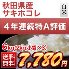 �H�c���Y �T�L�z�R�� ���� ��4�N�A����A�]����6kg�i2kg�~3�܁j�y�����o�ׁz�y���������z�y���ʍ͔|�āz�y�đ܂͒��f�[�U��z���� �ߘa7