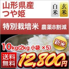 V R`Y P yāEāz15NA`] 10kgi2kg~5܁jyzy_8zyS̐YҎwāzyđ܂