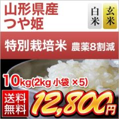 �R�`���Y ��P �y���āE���āz��15�N�A�����`�]���� 10kg�i2kg�~5�܁j�y���������z�y�_��8�����z�y���S�̐��Y�Ҏw��āz�y�đ܂͒��f�[