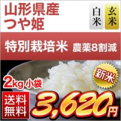 V R`Y PyāEāz15NA`] 2kgyzy_8zyS̐YҎwāzyđ܂͒f[Uz