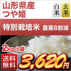 �R�`���Y ��P�y���āE���āz��15�N�A�����`�]���� 2kg�y���������z�y�_��8�����z�y���S�̐��Y�Ҏw��āz�y�đ܂͒��f�[�U��z�y����