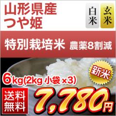 V R`Y P yāEāz15NA`] 6kgi2kg~3܁jyzy_8zyS̐YҎwāzyđ܂͒