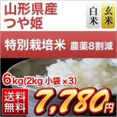 �R�`���Y ��P �y���āE���āz��15�N�A�����`�]���� 6kg�i2kg�~3�܁j�y���������z�y�_��8�����z�y���S�̐��Y�Ҏw��āz�y�đ܂͒��f�[