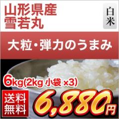 �R�`���Y ���� ���� ��7�N�A����A�]���� 6kg�i2kg�~3�܁j�y���������z�y�����o�ׁz�y�đ܂͒��f�[�U��z���� �ߘa7�N�Y 2025�N�Y