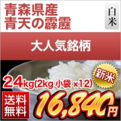�V�� �X���Y �V������ ����A�]���� ����24kg�i2kg�~12�܁j�y���������z�y�����o�ׁz�y�đ܂͒��f�[�U��z�ߘa8�N(2026�N)�Y