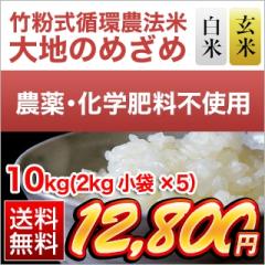 �|�����z�_�@�� ��n�̂߂��߁i�F�{�Y �q�m�q�J���j���āE���đI�� 10kg�i2kg�~5�܁j �������� ���f�[�U� ���S���_��� �_��y�щ�