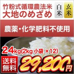 �|�����z�_�@�� ��n�̂߂��߁i�F�{�Y �q�m�q�J���j���āE���đI�� 24kg�i2kg�~12�܁j �������� ���āE���� �I�� ���f�[�U� ���S��