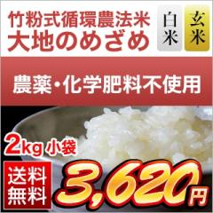 �|�����z�_�@�� ��n�̂߂��߁i�F�{�Y �q�m�q�J���j���āE���đI�� 2kg �y���������z ���f�[�U� �_��y�щ��w�엿�͈�ؕs�g�p ����