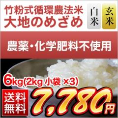 �|�����z�_�@�� ��n�̂߂��߁i�F�{�Y �q�m�q�J���j���āE���đI�� 6kg�i2kg�~3�܁j�y���������z ���f�[�U� �_��y�щ��w�엿�͈��