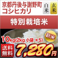 �V�� ���s�O��^�Ӗ쒬�Y �R�V�q�J�� �y���āE���āz10kg(2kg�~5��) �y���ʍ͔|�āz�y���������z�y�����o�ׂ͔��Ă̂݁z�y�đ܂͒��f�[�U