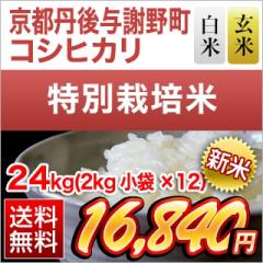 �V�� ���s�O��^�Ӗ쒬�Y �R�V�q�J�� �y���āE���āz24kg(2kg�~12��) �y���ʍ͔|�āz�y���������z�y�����o�ׂ͔��Ă̂݁z�y�đ܂͒��f�[