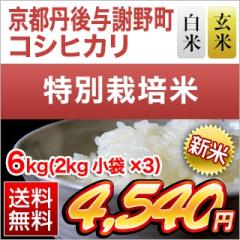�V�� ���s�O��^�Ӗ쒬�Y �R�V�q�J�� �y���āE���āz6kg(2kg�~3��) �y���ʍ͔|�āz�y���������z�y�����o�ׂ͔��Ă̂݁z�y�đ܂͒��f�[�U