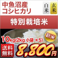 �V�� �V�����������Y �R�V�q�J���q��A�]���r���āE���� 10kg(2kg�~5�܁j�y���ʍ͔|�āz�y���Y�Ҏw��āz�y���������z�y�đ܂͒��f�[�U��