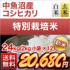�V�� �V�����������Y �R�V�q�J���q��A�]���r���āE���� 24kg(2kg�~12�܁j�y���ʍ͔|�āz�y���Y�Ҏw��āz�y���������z�y�đ܂͒��f�[�U��