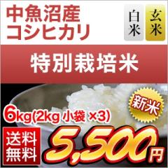 �V�� �V�����������Y �R�V�q�J���q��A�]���r���āE���� 6kg(2kg�~3�܁j�y���ʍ͔|�āz�y���Y�Ҏw��āz�y���������z�y�đ܂͒��f�[�U�