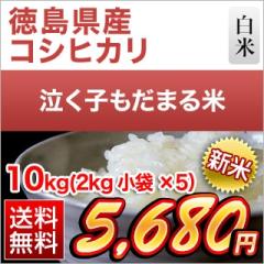 �V�� �������Y �����q�����܂�āi�R�V�q�J���j ���� 10kg(2kg�~5��)�y���������z�y�����o�ׁz�y���Y�Ҏw��āz�y�đ܂͒��f�[�U��z��