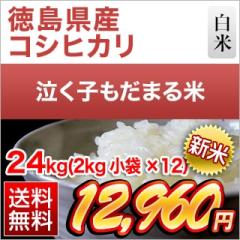 �V�� �������Y �����q�����܂�āi�R�V�q�J���j ���� 24kg(2kg�~12��)�y���������z�y�����o�ׁz�y���Y�Ҏw��āz�y�đ܂͒��f�[�U��z