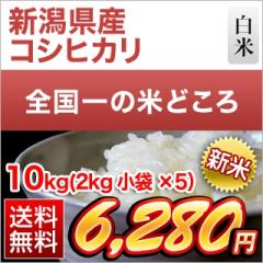 �V�� �V�����Y �R�V�q�J�� ���� 10kg (2kg�~5��)�y���������z�y�����o�ׁz�y�đ܂͒��f�[�U��z�ߘa8�N(2026�N)�Y
