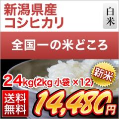 �V�� �V�����Y �R�V�q�J�� ���� 24kg (2kg�~12��)�y���������z�y�����o�ׁz�y�đ܂͒��f�[�U��z�ߘa8�N(2026�N)�Y