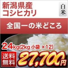 �V�����Y �R�V�q�J�� ���� 24kg�i2kg�~12�܁j�y���������z�y�����o�ׁz�y�đ܂͒��f�[�U��z���� �ߘa7�N�Y 2025�N�Y