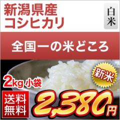 �V�� �V�����Y �R�V�q�J�� ���� 2kg�y���������z�y�����o�ׁz�y�đ܂͒��f�[�U��z�ߘa8�N(2026�N)�Y