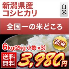 �V�� �V�����Y �R�V�q�J�� ���� 6kg (2kg�~3��)�y���������z�y�����o�ׁz�y�đ܂͒��f�[�U��z�ߘa8�N(2026�N)�Y