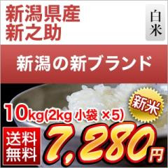 �V�� �V�����Y �V�V�� ���� 10kg�i2kg�~5�܁j�y���������z�y�����o�ׁz�y�đ܂͒��f�[�U��z�ߘa8�N(2026�N)�Y