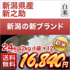 �V�� �V�����Y �V�V�� ���� 24kg�i2kg�~12�܁j�y���������z�y�����o�ׁz�y�đ܂͒��f�[�U��z�ߘa8�N(2026�N)�Y