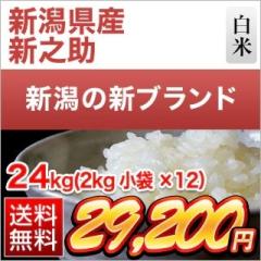 �V�����Y �V�V�� ���� 24kg�i2kg�~12�܁j �y���������z�y�����o�ׁz�y�đ܂͒��f�[�U��z���� �ߘa7�N�Y 2025�N�Y