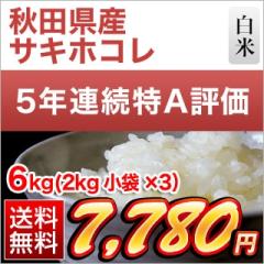 �H�c���Y �T�L�z�R�� ���� ��5�N�A����A�]����6kg�i2kg�~3�܁j�y�����o�ׁz�y���������z�y���ʍ͔|�āz�y�đ܂͒��f�[�U��z���� �ߘa7