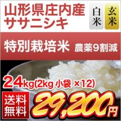 �R�`�������Y �T�T�j�V�L 24kg�i2kg�~12�܁j�y���āE���� �I���z�y���ʍ͔|�āz�y���������z�y�đ܂͒��f�[�U��z ���� �ߘa7�N�Y 2025