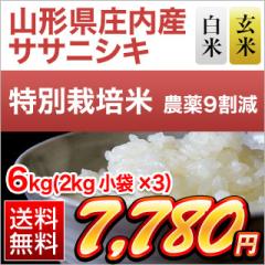 �R�`�������Y �T�T�j�V�L 6kg�i2kg�~3�܁j�y���āE���� �I���z�y���ʍ͔|�āz�y���������z�y�đ܂͒��f�[�U��z ���� �ߘa7�N�Y 2025�N