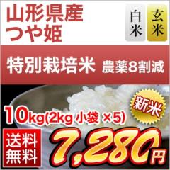 �V�� �R�`���Y ��P ��16�N�A�����`�]���� �y���āE���āz10kg�i2kg�~5�܁j�y���������z�y�_��W�����z�y�����o�ׂ͔��Ă̂݁z�y���S��