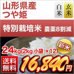�V�� �R�`���Y ��P ��16�N�A�����`�]���� �y���āE���āz24kg�i2kg�~12�܁j�y���������z�y�_��W�����z�y�����o�ׂ͔��Ă̂݁z�y���S
