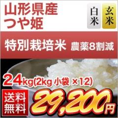 �R�`���Y ��P �y���āE���āz��15�N�A�����`�]���� 24kg�i2kg�~12�܁j�y���������z�y�_��8�����z�y���S�̐��Y�Ҏw��āz�y�đ܂͒��f