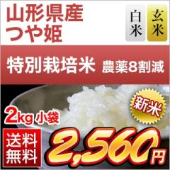 �V�� �R�`���Y ��P ��16�N�A�����`�]���� �y���āE���āz2kg�y���������z�y�_��W�����z�y�����o�ׂ͔��Ă̂݁z�y���S�̐��Y�Ҏw���