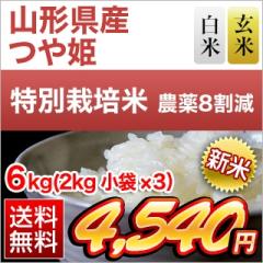 �V�� �R�`���Y ��P ��16�N�A�����`�]���� �y���āE���āz6kg (2kg�~3��)�y���������z�y�_��W�����z�y�����o�ׂ͔��Ă̂݁z�y���S�̐�